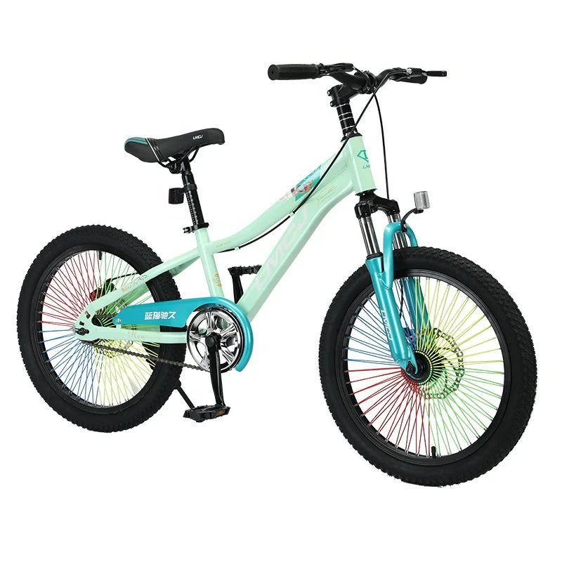 Beautiful New Style Mountain Bike High Carbon Steel Bicycle 20 Inch Mountain Bike for Kids.