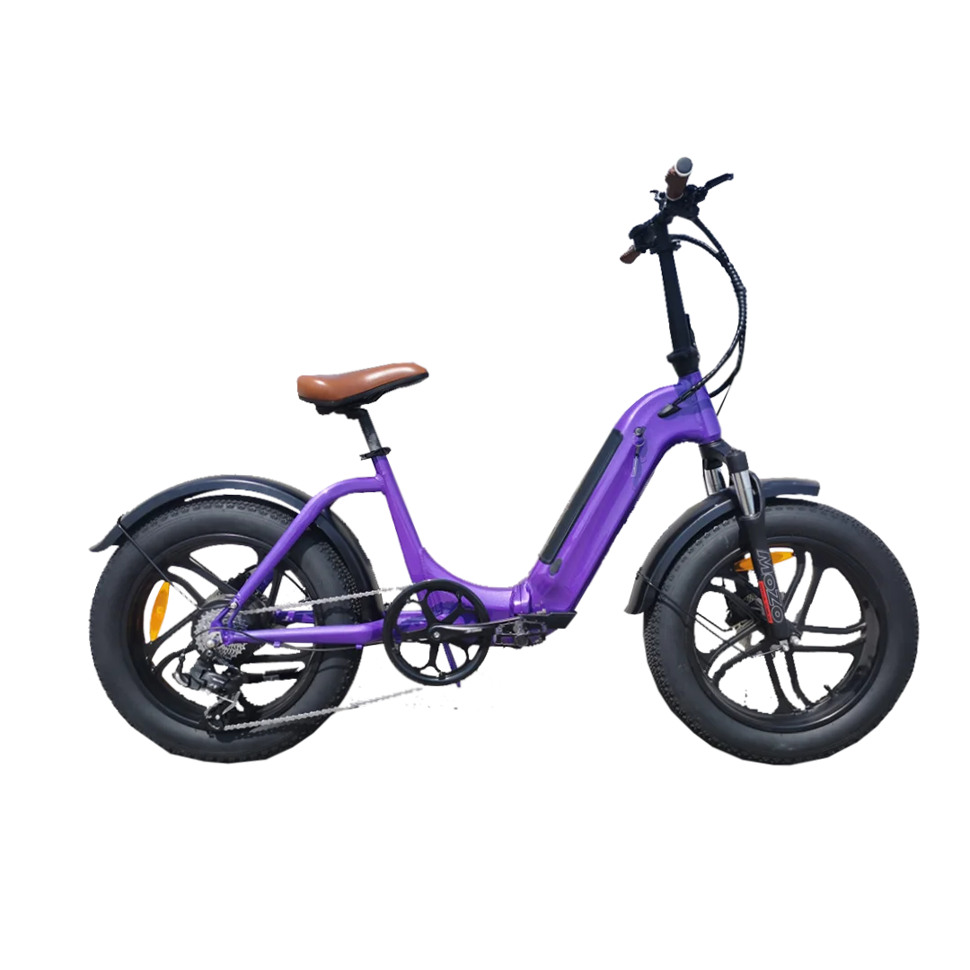 STLF Wholesale Price 7 Speed 350W 500W 52V  20-Inch Long Range  Aluminum Alloy Frame E Bike OFF-Road  Electric Bike