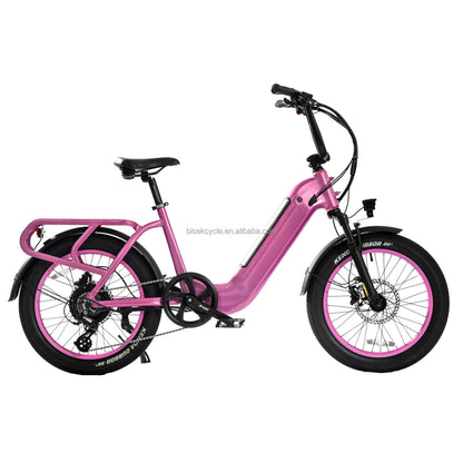 STLF Wholesale Price 7 Speed 350W 500W 52V  20-Inch Long Range  Aluminum Alloy Frame E Bike OFF-Road  Electric Bike