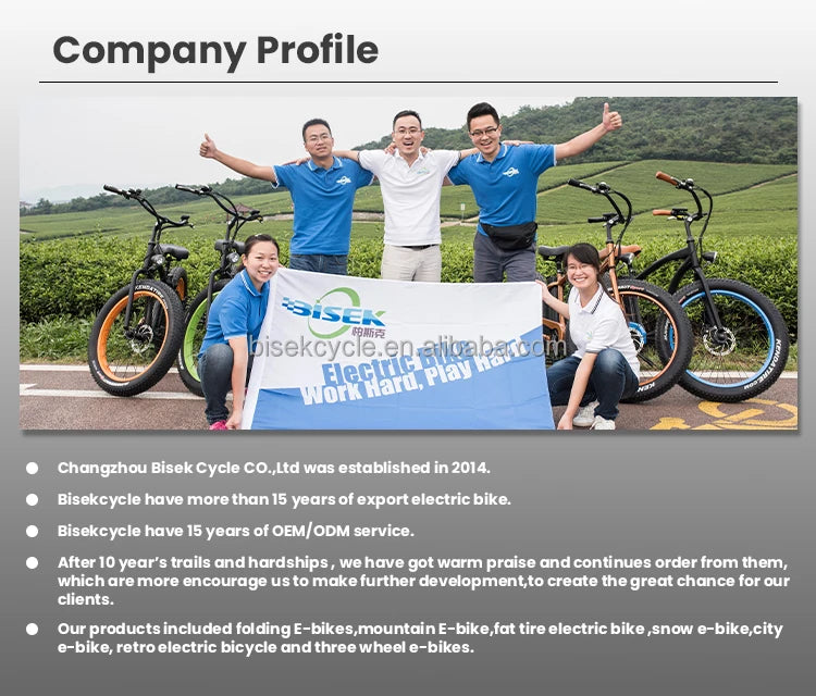 STLF 2025 Customized Suspension Fork Utility Cargo Loading Electric Bicycle PAS Aluminum Suspension Fork City Electric Bike