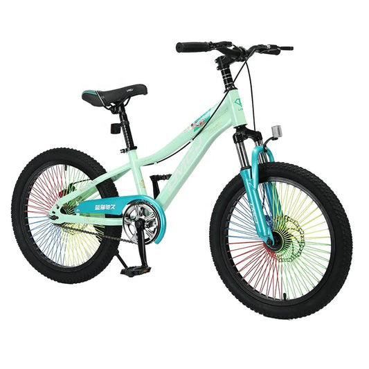 Beautiful New Style Mountain Bike High Carbon Steel Bicycle 20 Inch Mountain Bike for Kids.