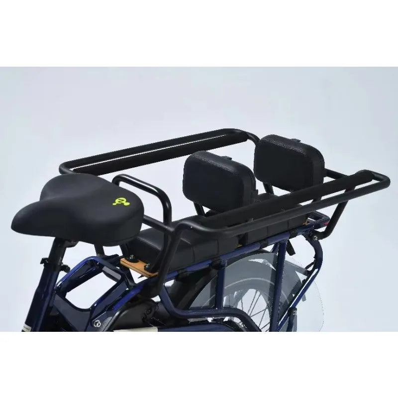 STLF 2025 High Quality Cheap Cargo Electric Bicycle Wholesale Alloy Electric Cargo Bike 2 Wheels Family Cargo Ebike