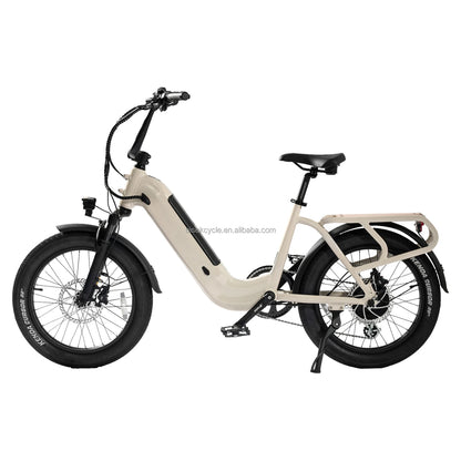 STLF Wholesale Price 7 Speed 350W 500W 52V  20-Inch Long Range  Aluminum Alloy Frame E Bike OFF-Road  Electric Bike