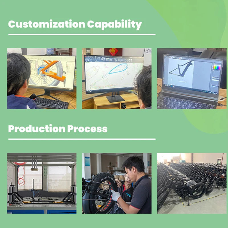 STLF Wholesale Price 7 Speed 350W 500W 52V  20-Inch Long Range  Aluminum Alloy Frame E Bike OFF-Road  Electric Bike