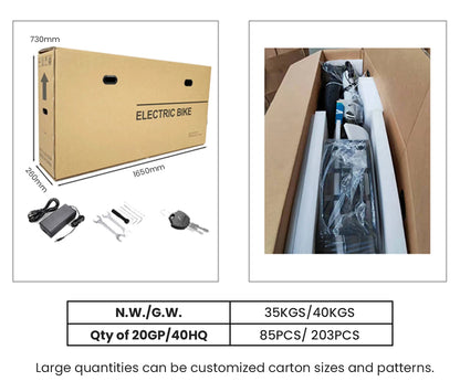 STLF Dual Battery Long Tail Cargo Electric Bike 48v 750w Bafang Motor Suspension Front Fork Fat Tires 20inch E Bike Electric Bic