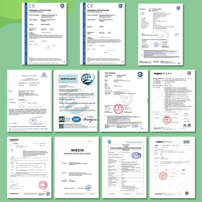 STLF Wholesale Price 7 Speed 350W 500W 52V  20-Inch Long Range  Aluminum Alloy Frame E Bike OFF-Road  Electric Bike