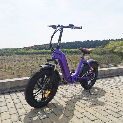 STLF Wholesale Price 7 Speed 350W 500W 52V  20-Inch Long Range  Aluminum Alloy Frame E Bike OFF-Road  Electric Bike