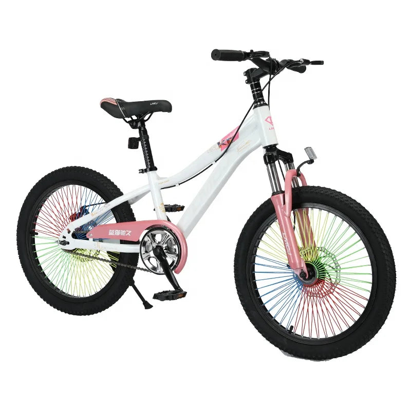 Beautiful New Style Mountain Bike High Carbon Steel Bicycle 20 Inch Mountain Bike for Kids.