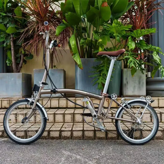 YTYIN Hot Selling 9-Speed 16 Inch Lightweight Folding Bicycle Carbon Fiber Handlebar Schwalbe Tires Mountain Bike for Adults