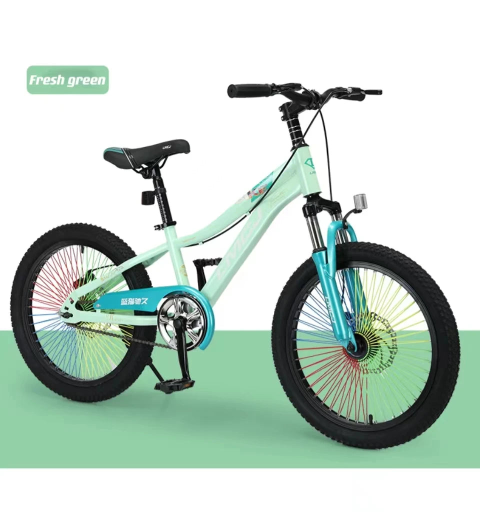 Beautiful New Style Mountain Bike High Carbon Steel Bicycle 20 Inch Mountain Bike for Kids.