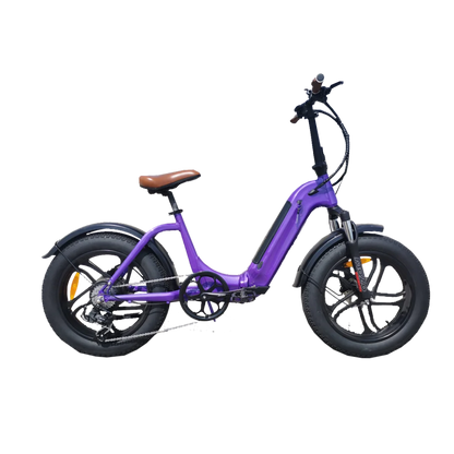 STLF Wholesale Price 7 Speed 350W 500W 52V  20-Inch Long Range  Aluminum Alloy Frame E Bike OFF-Road  Electric Bike